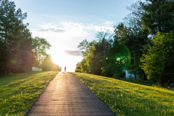 Cost of Asphalt Pathway Installation in Warner Robins
