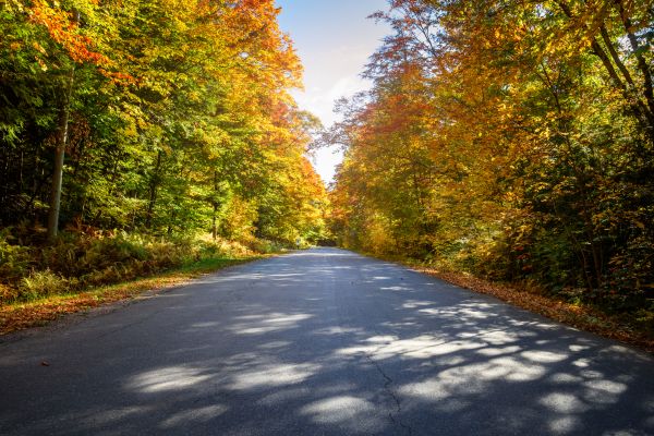 Cost of Blacktop Replacement in Warner Robins